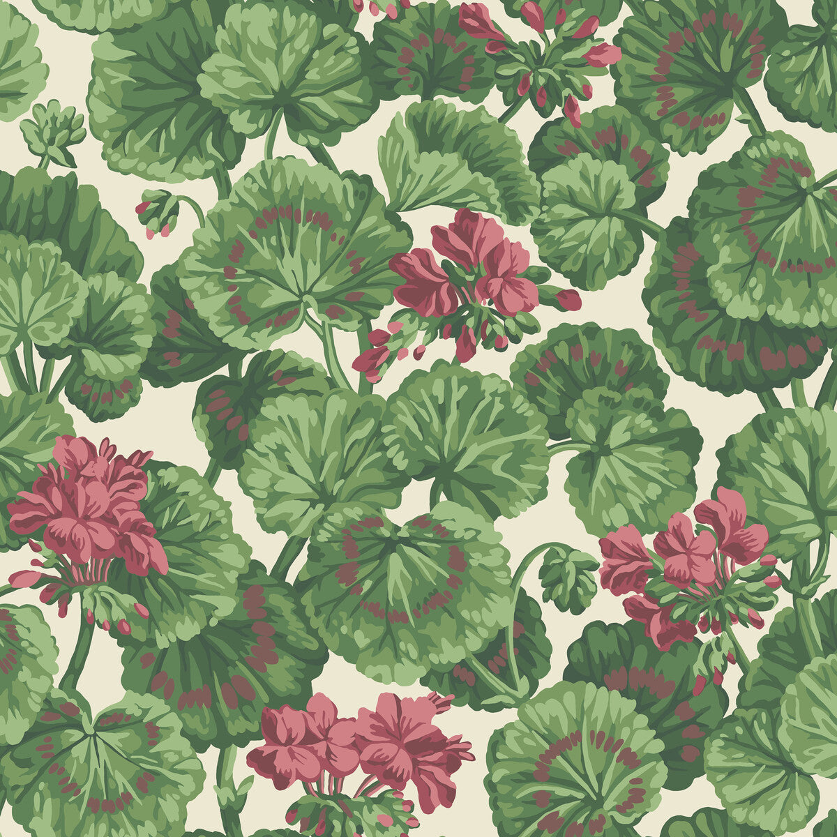 COLE & SON 117/11034.CS.0 GERANIUM ROSE/FOREST GRN ON PARCHMENT Wallpaper - Eade's Wallpaper