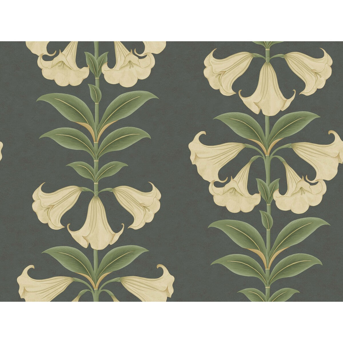 COLE & SON 117/3006.CS.0 ANGELS TRUMPET CREAM/OLIVE GREEN/CHARCOAL Wallpaper - Eade's Wallpaper