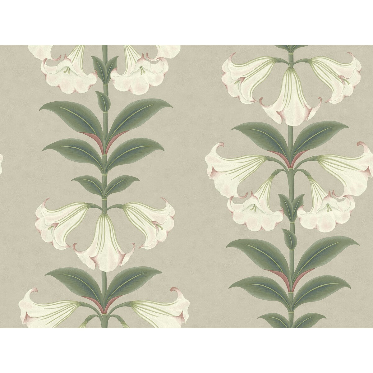 COLE & SON 117/3007.CS.0 ANGELS TRUMPET CHALK & SAGE ON STONE Wallpaper - Eade's Wallpaper