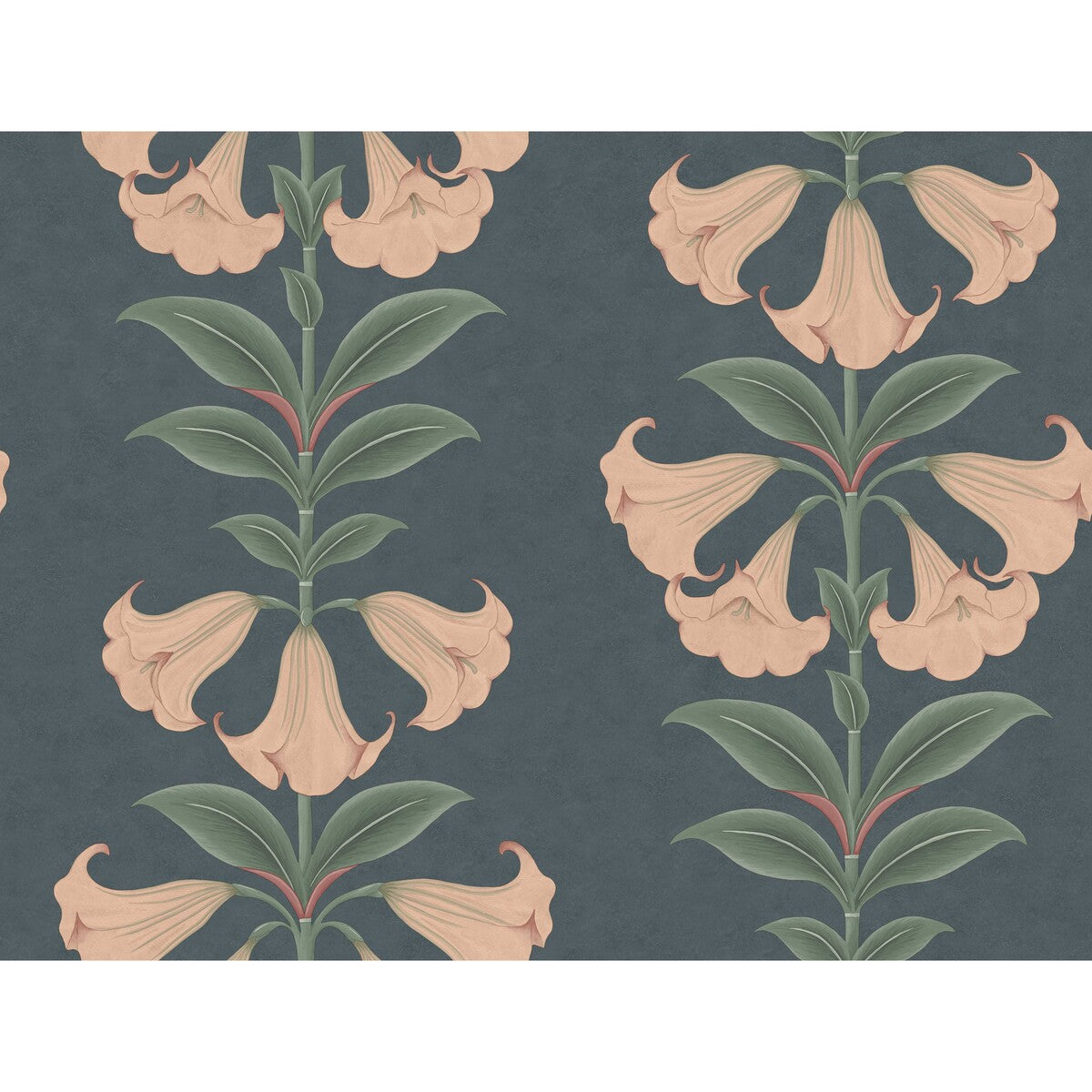 COLE & SON 117/3009.CS.0 ANGELS TRUMPET CORAL & VIRIDIAN ON INK Wallpaper - Eade's Wallpaper