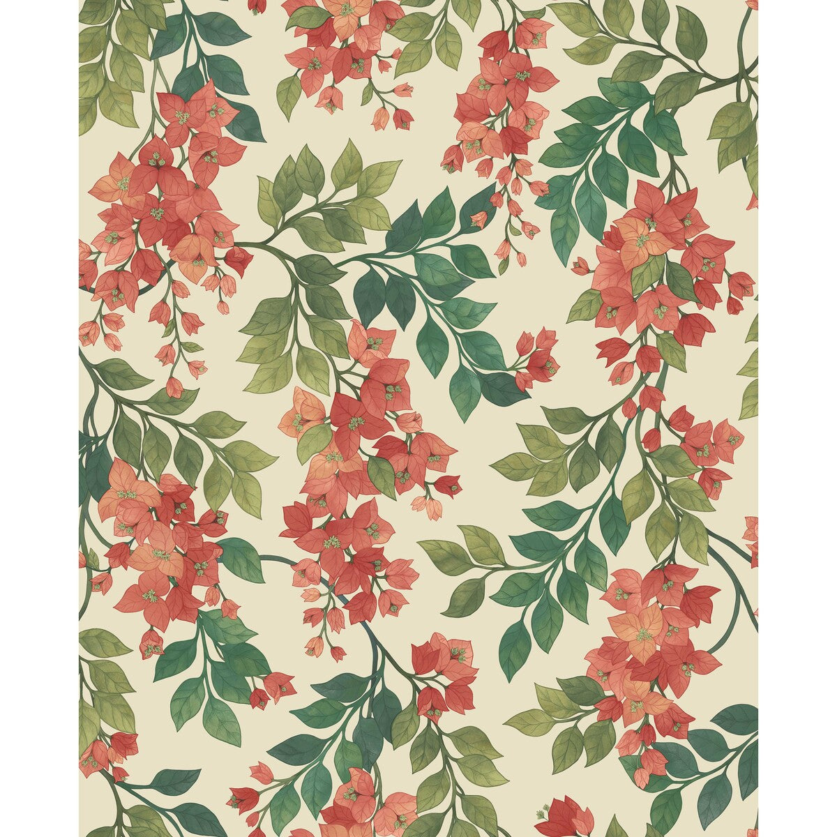 COLE & SON 117/6016.CS.0 BOUGAINVILLEA ROUGE/OLIVE GRN/EMERALD/CRM Wallpaper - Eade's Wallpaper