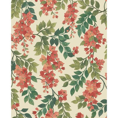 COLE & SON 117/6016.CS.0 BOUGAINVILLEA ROUGE/OLIVE GRN/EMERALD/CRM Wallpaper - Eade's Wallpaper