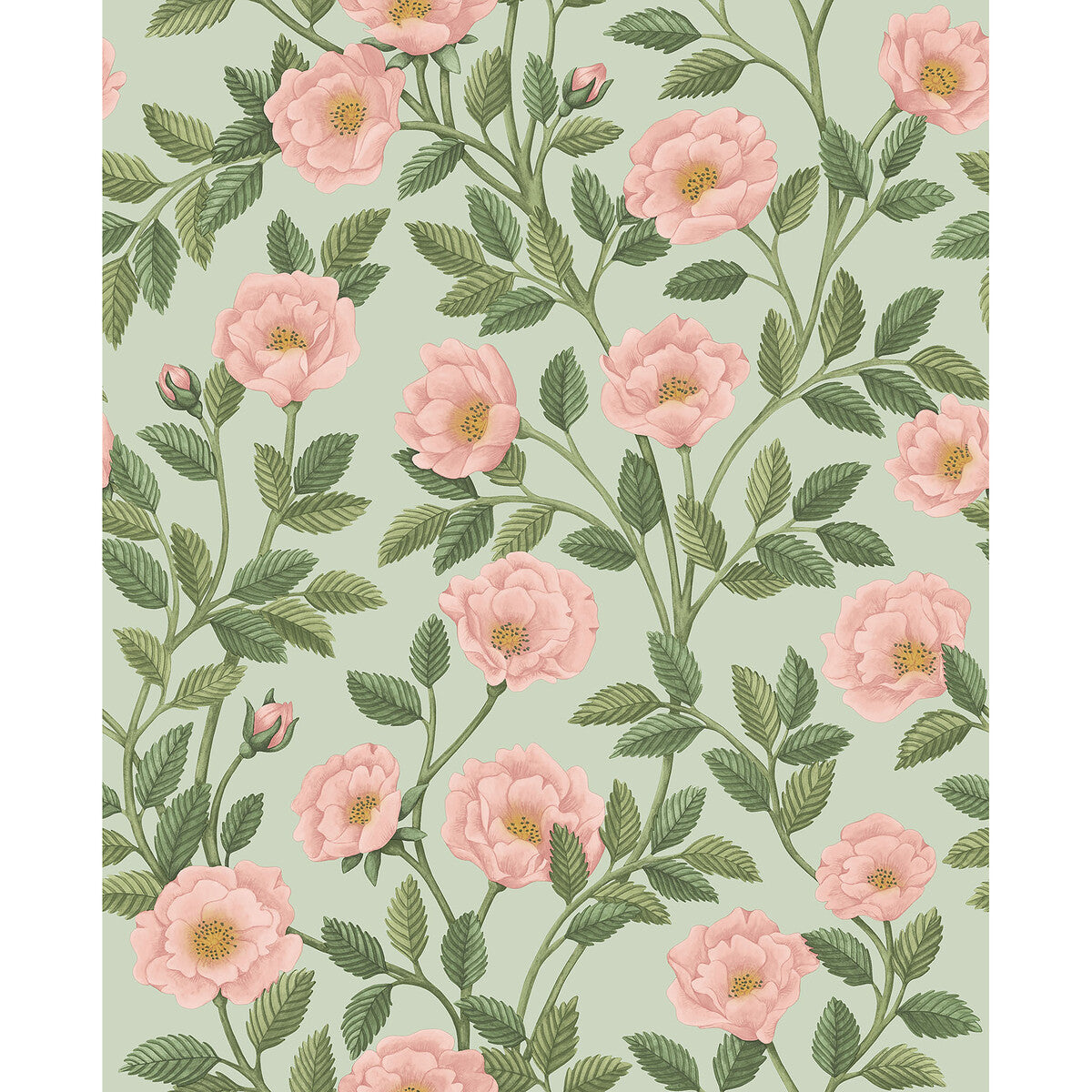 COLE & SON 118/7014.CS.0 HAMPTON ROSES R&LGRN/DEGG Wallpaper - Eade's Wallpaper