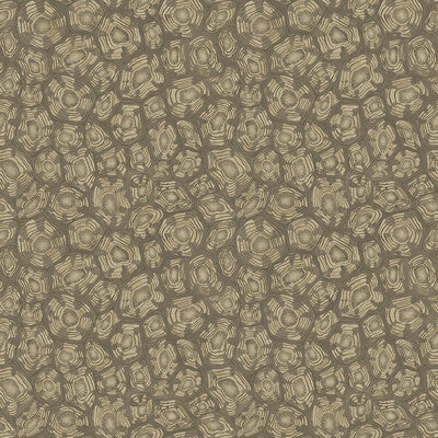 COLE & SON 119/4020.CS.0 SAVANNA SHELL GILVER Wallpaper - Eade's Wallpaper