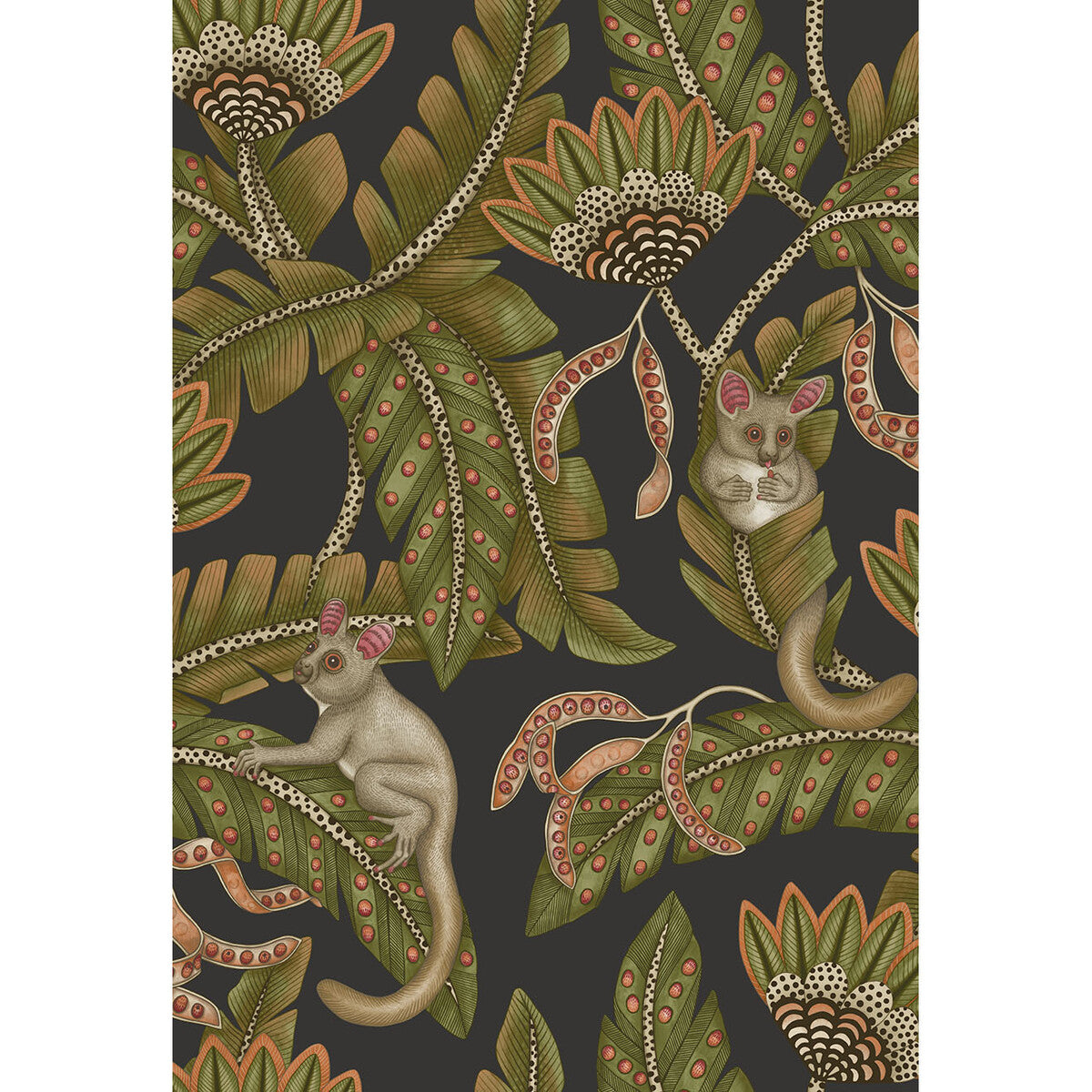 COLE & SON 119/7031.CS.0 BUSH BABY SPGRN&ORNG/BLCK Wallpaper - Eade's Wallpaper