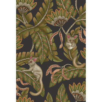 COLE & SON 119/7031.CS.0 BUSH BABY SPGRN&ORNG/BLCK Wallpaper - Eade's Wallpaper