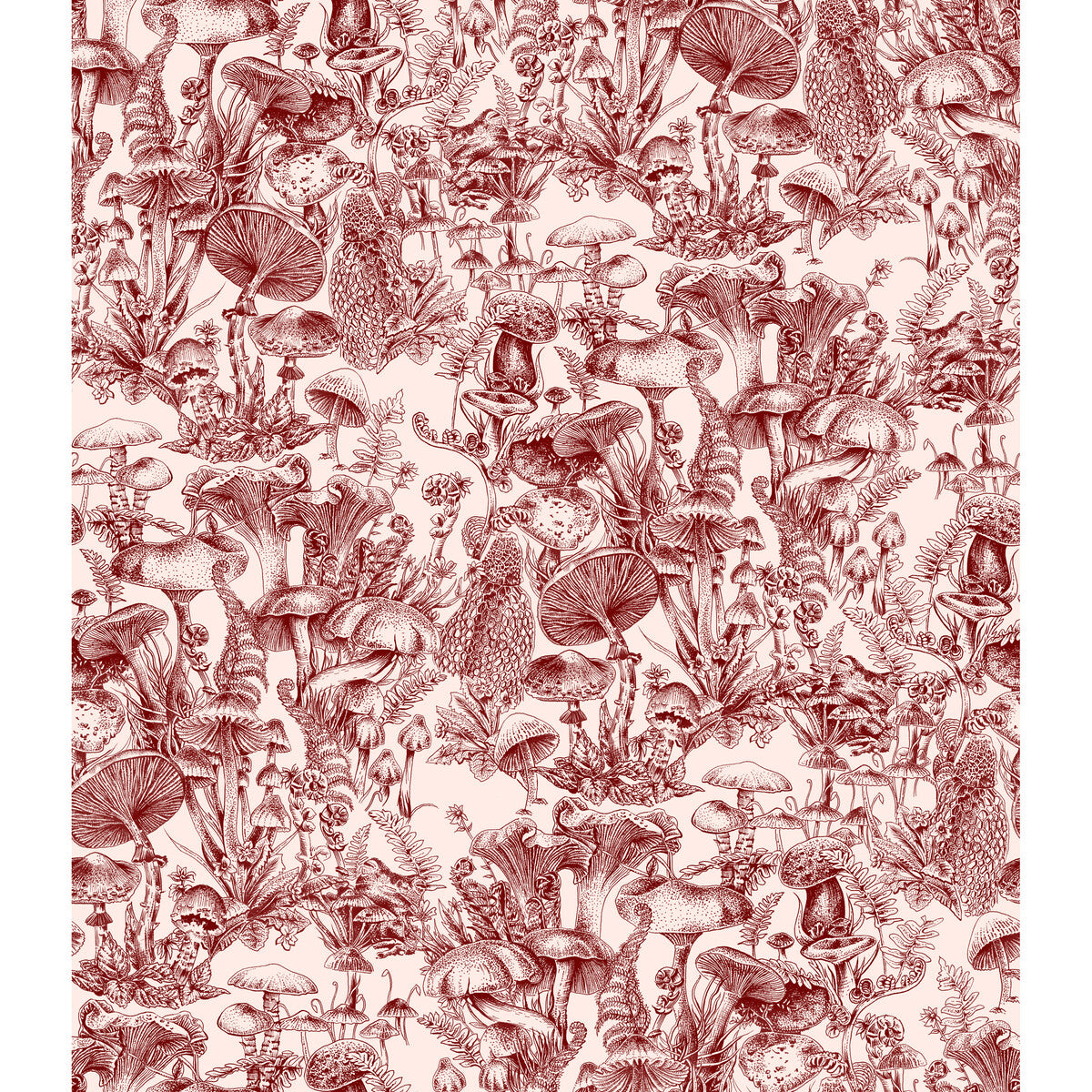 COLE & SON 122/1001.CS.0 FUNGI FOREST BURGUNDY Wallpaper - Eade's Wallpaper