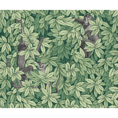 COLE & SON 123/10049.CS.0 FOGLIE E SCIMMIE GREEN Wallpaper - Eade's Wallpaper