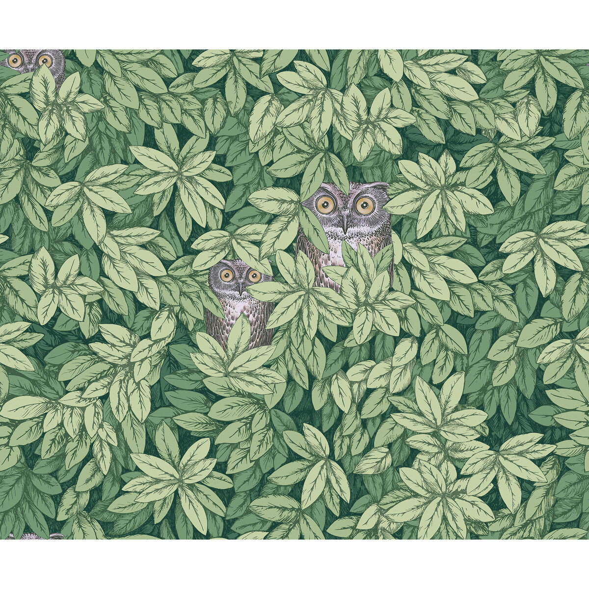 COLE & SON 123/11054.CS.0 FOGLIE E CIVETTE GREEN Wallpaper - Eade's Wallpaper