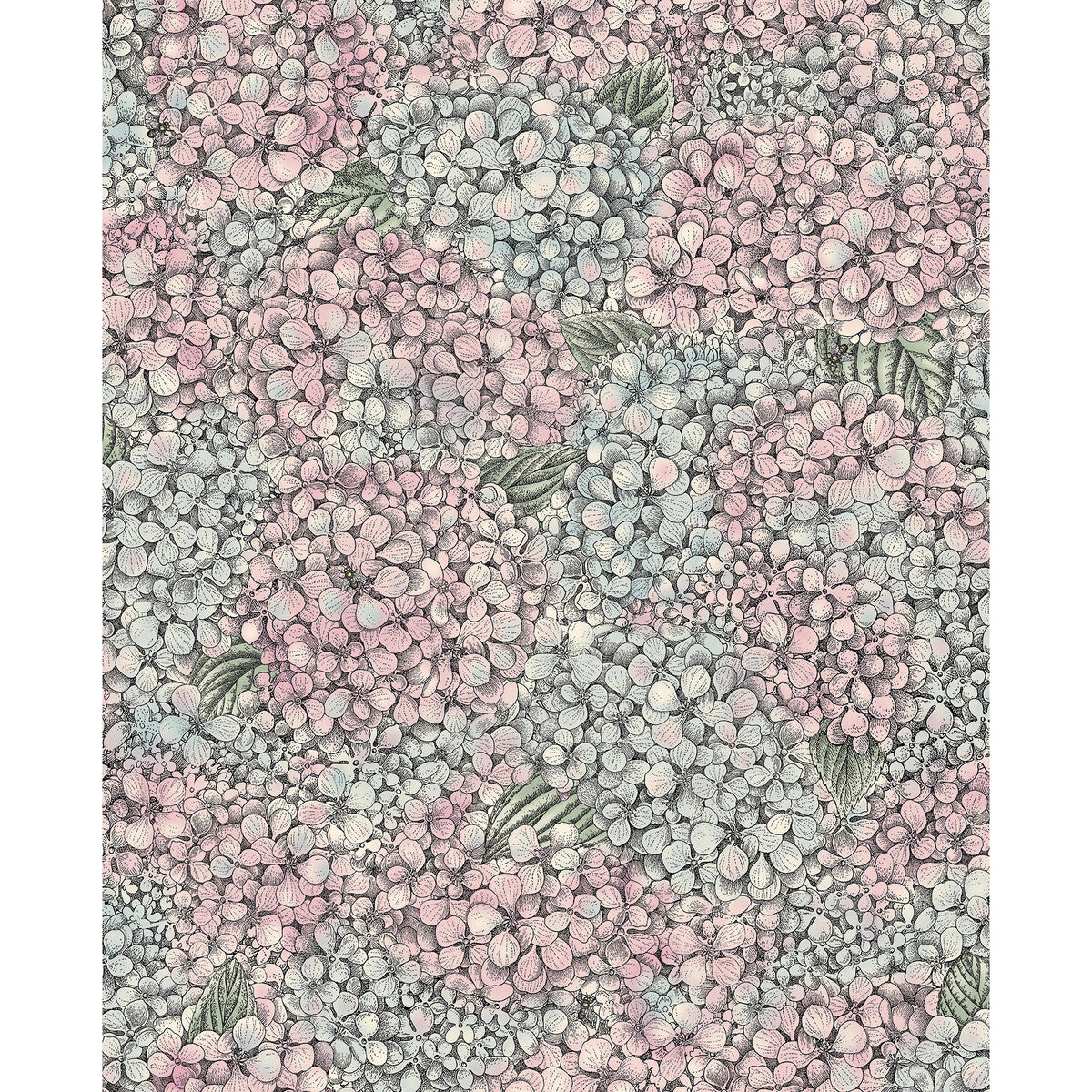 COLE & SON 123/9045.CS.0 ORTENSIA PINK & BLUE Wallpaper - Eade's Wallpaper