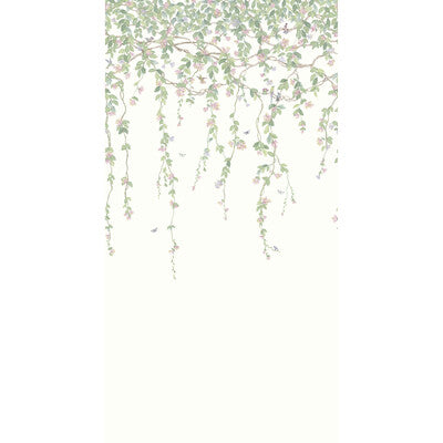 COLE & SON 124/2008.CS.0 HUMMINGBIRDS FLORA BLUSH Mural - COLE & SON SELECTION OF HUMMINGBIRDS