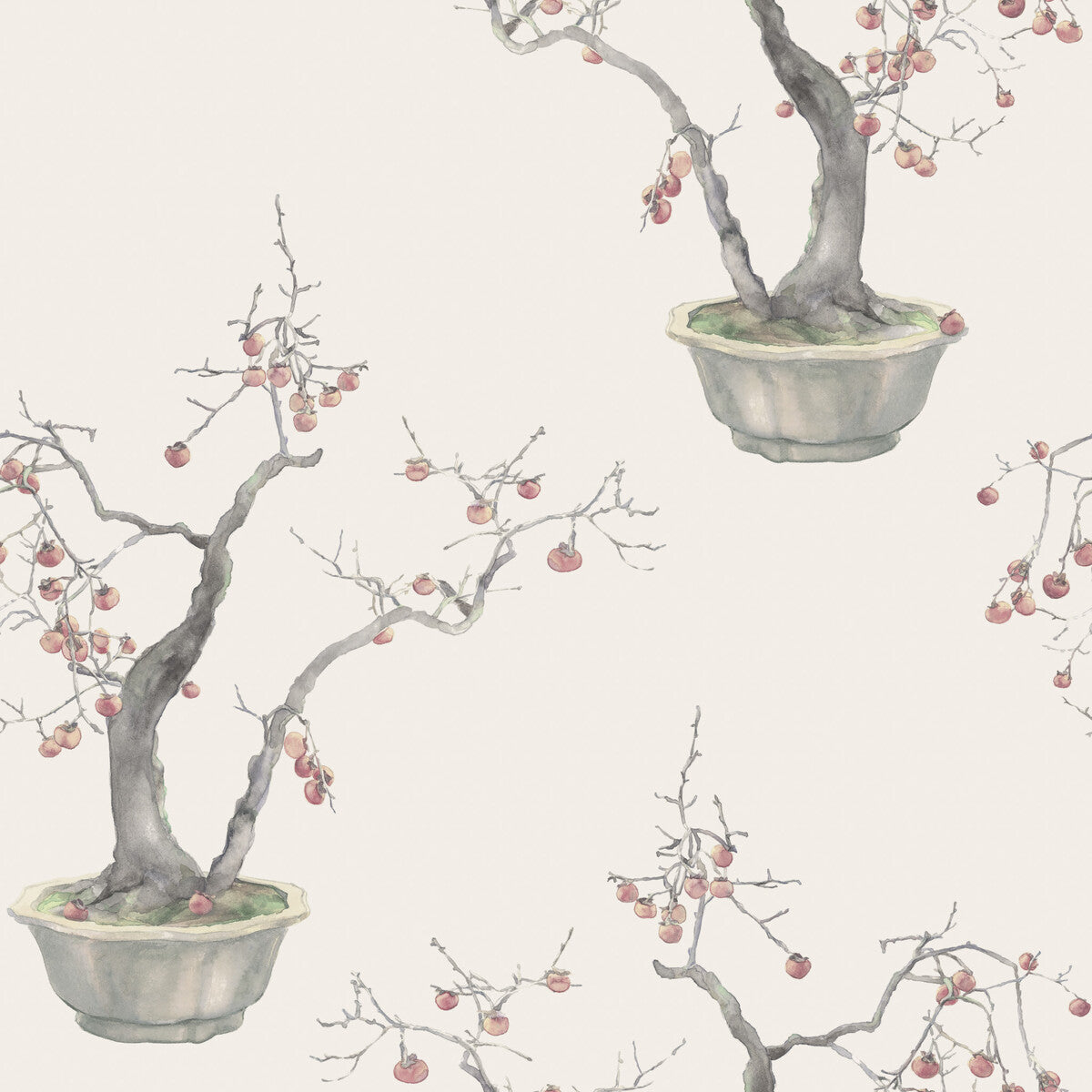 COLE & SON KAKI PERSIMMON 126/2004.CS.0 in SILVER Wallpaper