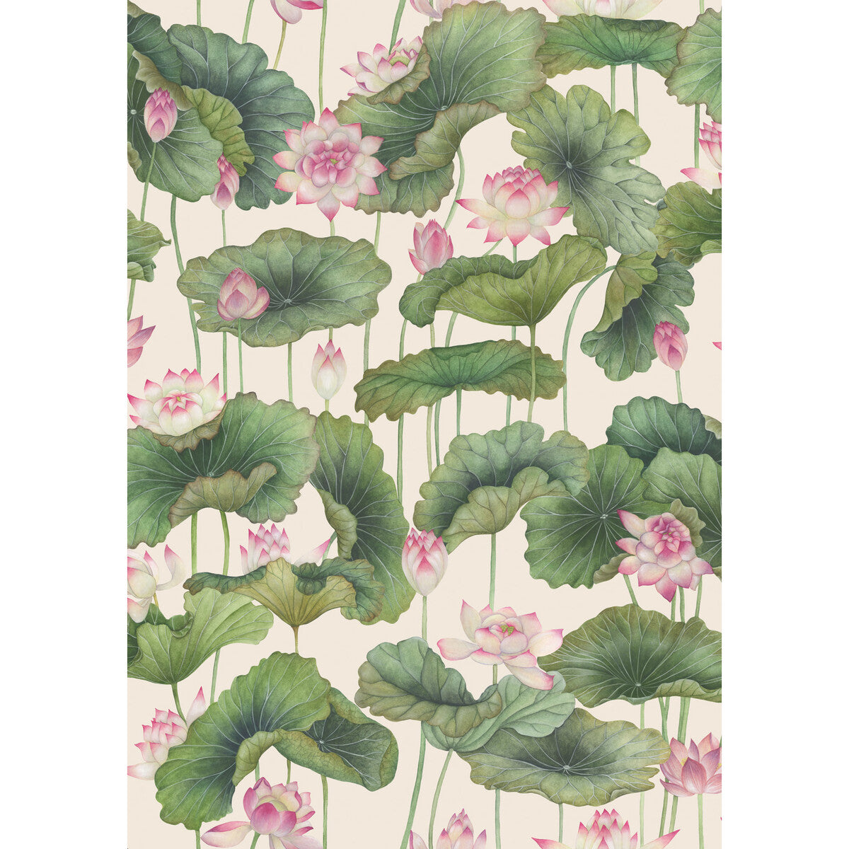 COLE & SON LILY LOTUS 126/9031.CS.0 in PINK Wallpaper - COLE