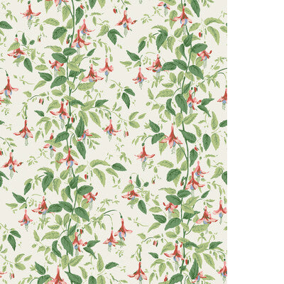 COLE & SON FUSCHIA 128/6028.CS.0 in ROSE PINK Wallpaper - CO