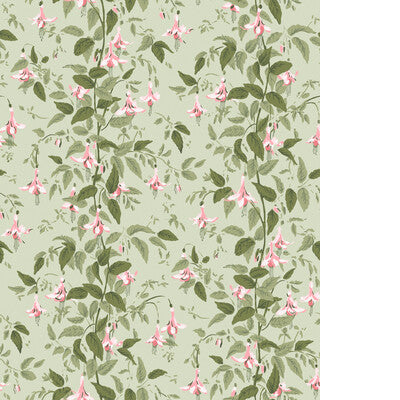 COLE & SON FUSCHIA 128/6032.CS.0 in POWDER PINK Wallpaper -