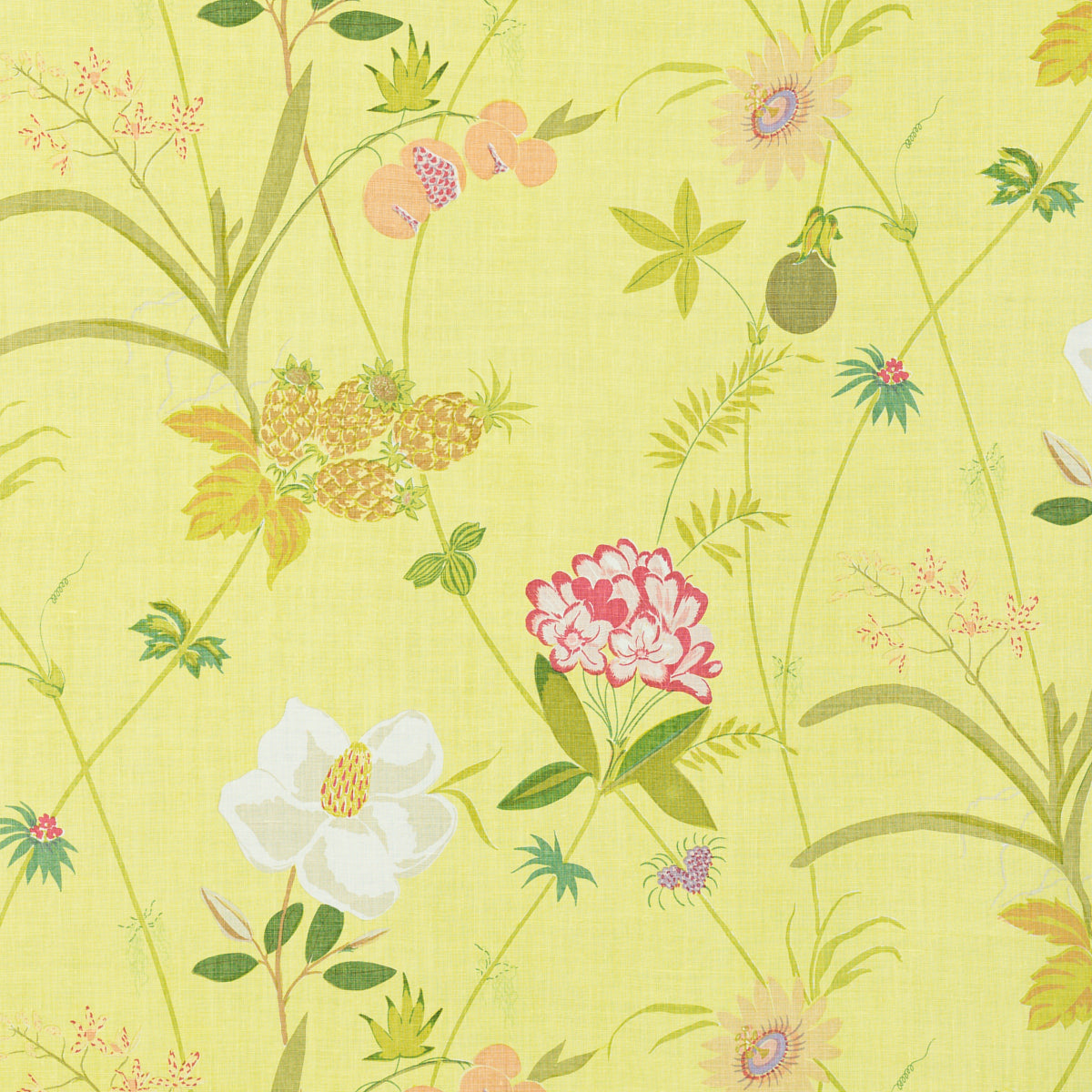 Schumacher 151B49 SECRET GARDEN BY RAOUL in LIMON Fabric - R