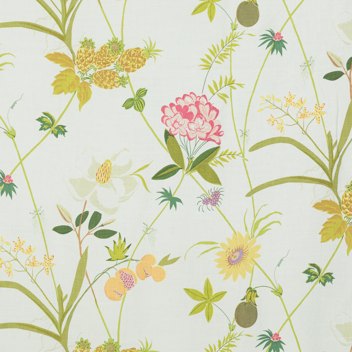 Schumacher 151H35 SECRET GARDEN BY RAOUL in WHITE Fabric - R