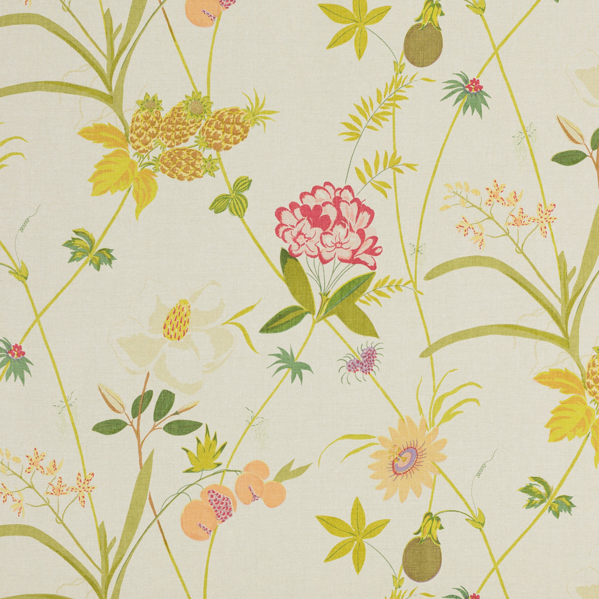 Schumacher 151N14 SECRET GARDEN BY RAOUL in NATURAL Fabric -