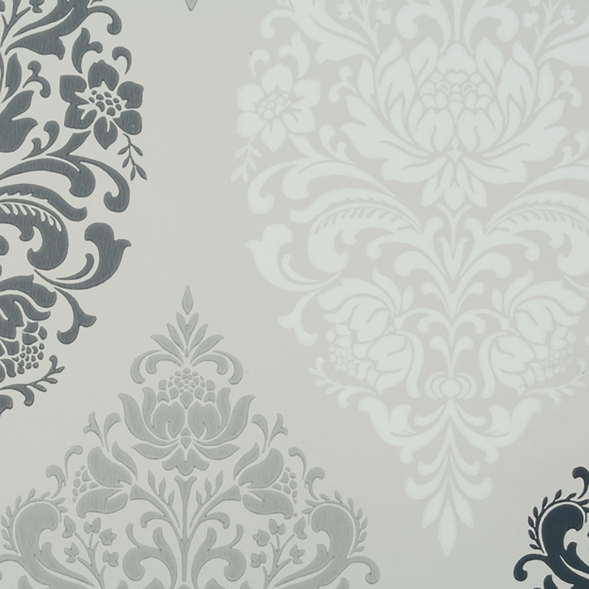 96-W6681 1543 Wallcovering - Eade's Wallpaper & Fabric
