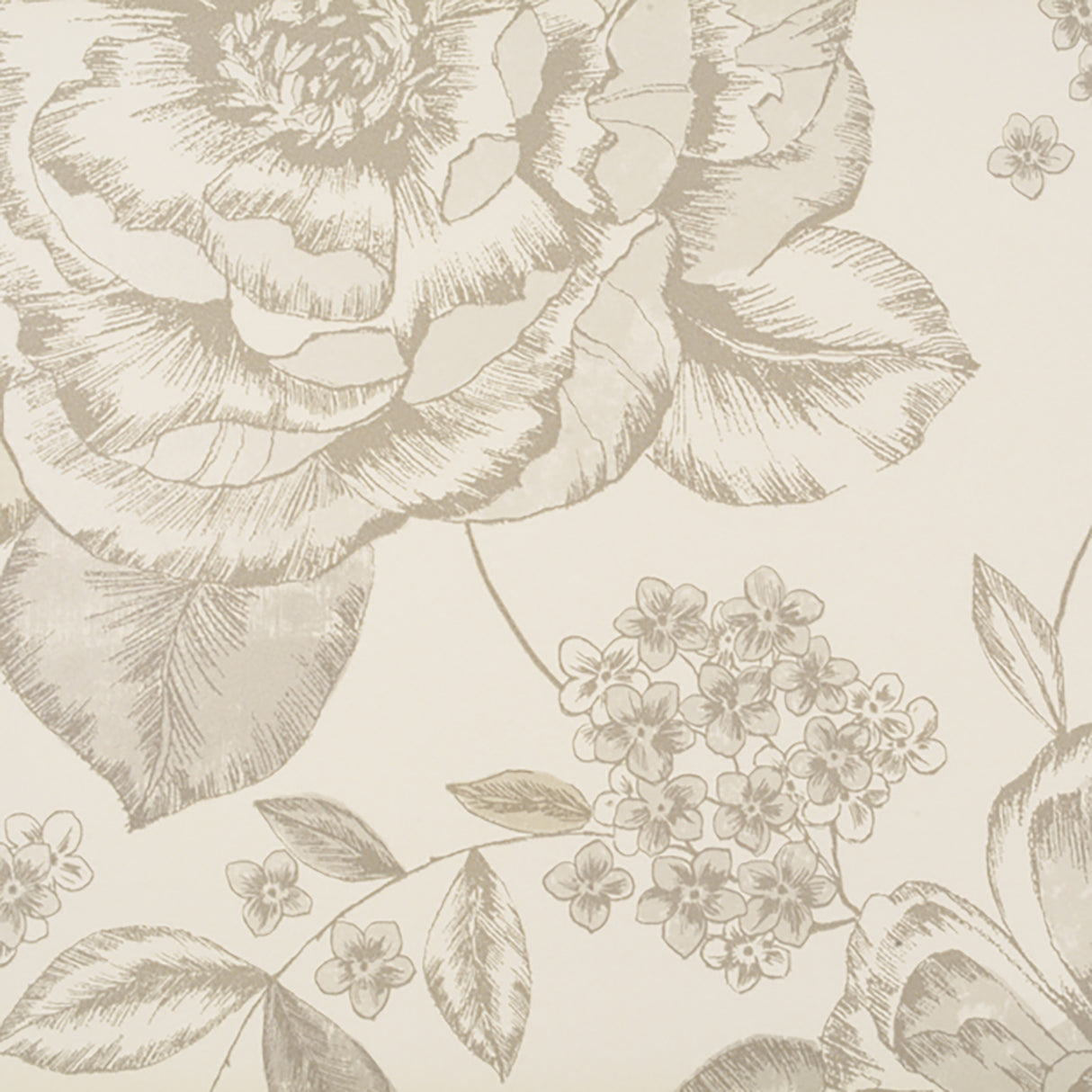 91-W6681 1546 Wallcovering - Eade's Wallpaper & Fabric