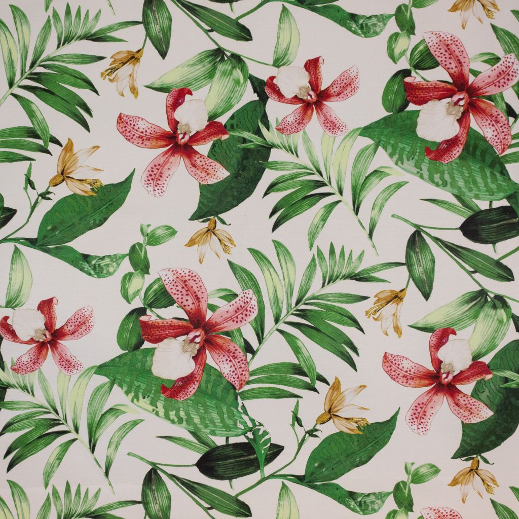 Eade's RMCoco-1356415-sample Coral Reef