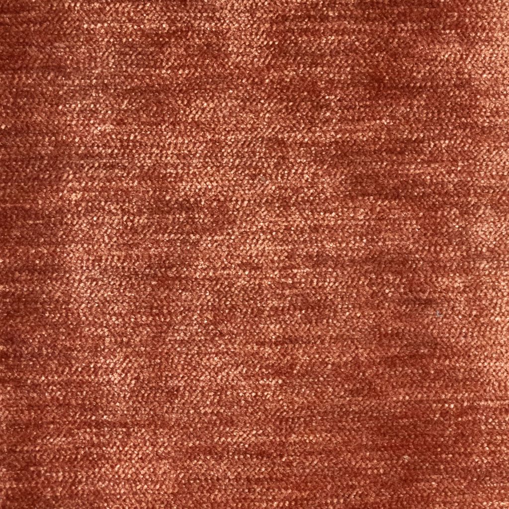 Eade's RMCoco-13368917-sample Begonia