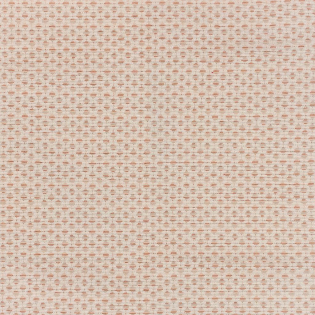 Eade's RMCoco-13372458-sample Shell