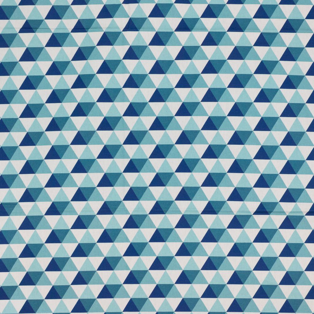 Eade's RMCoco-133892-sample Blue Jay