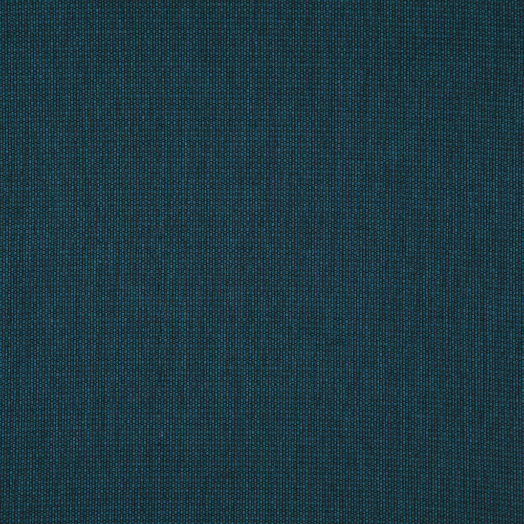 Eade's RMCoco-1321018-sample Beetle