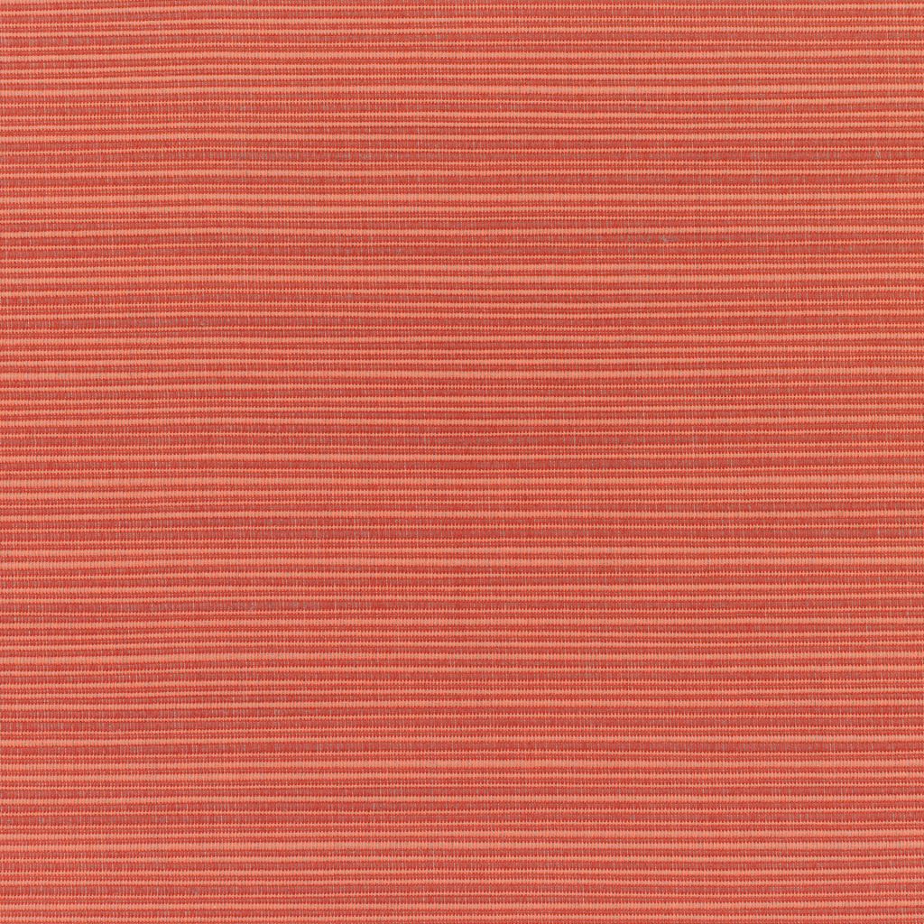 Eade's RMCoco-1322414-sample Papaya 8053-0000