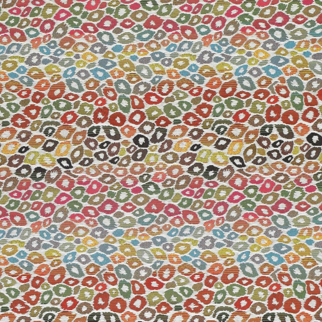 RM Coco Furocious Fiesta - Eade's