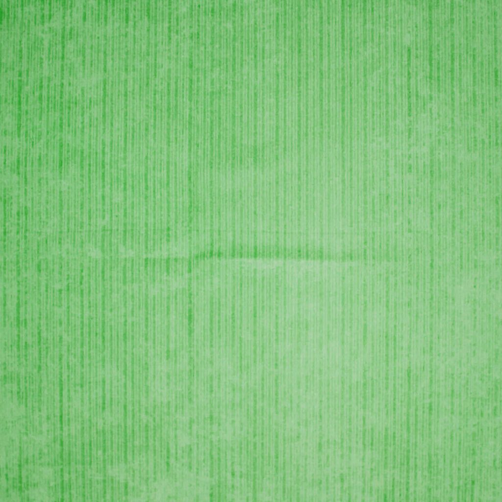 Eade's RMCoco-13115387-sample Grasshopper