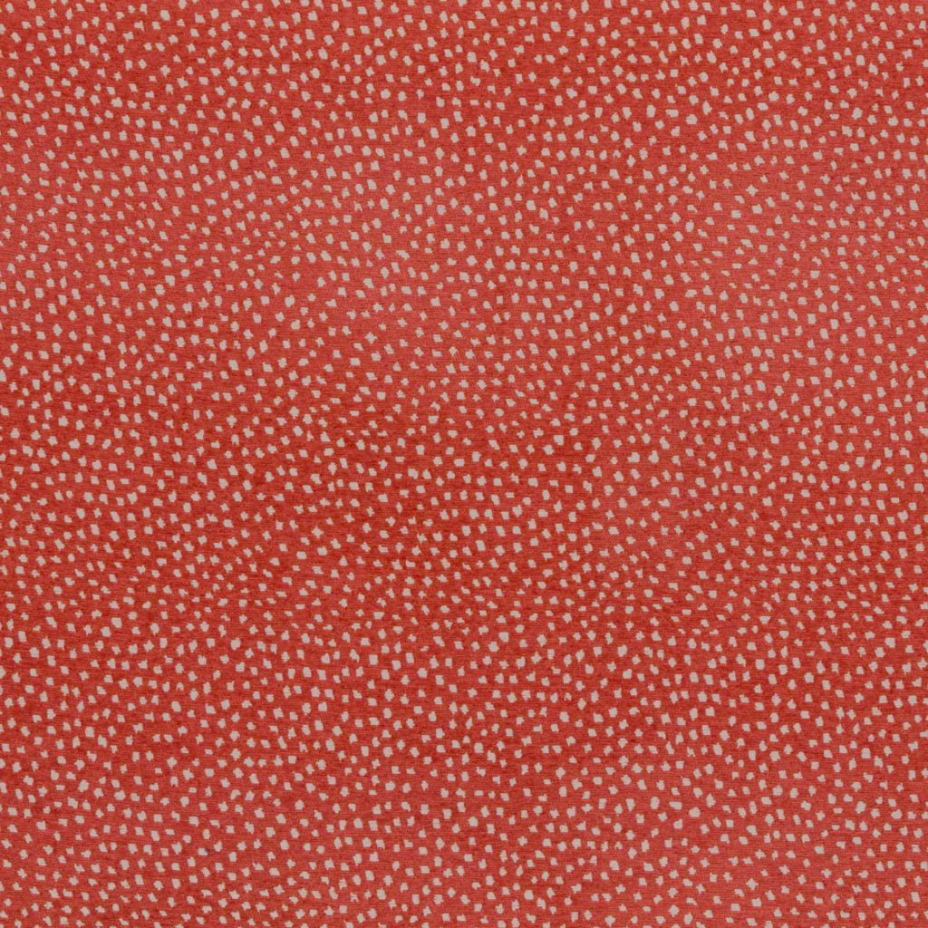 Eade's RMCoco-1293842-sample Coral