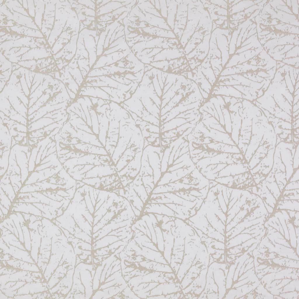 Eade's RMCoco-130081-sample Mushroom