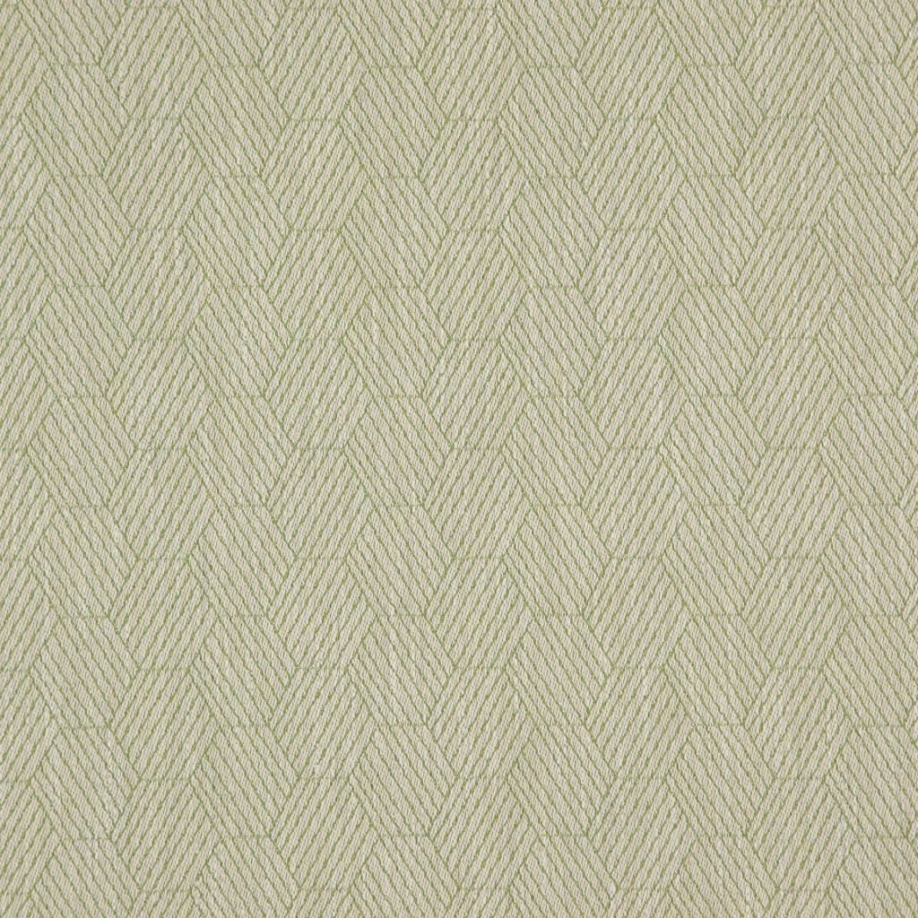 Eade's RMCoco-1318724-sample Fern