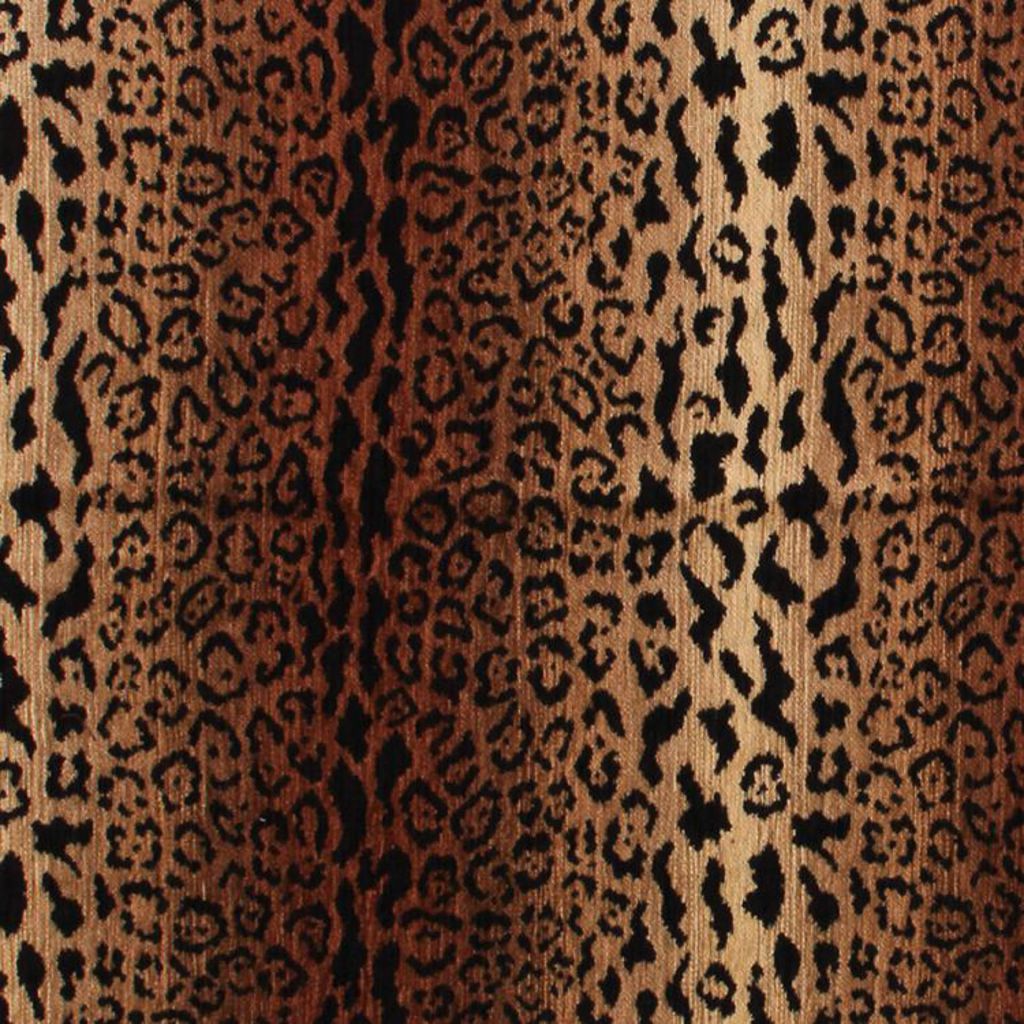 Eade's RMCoco-93SR11-sample Cheetah