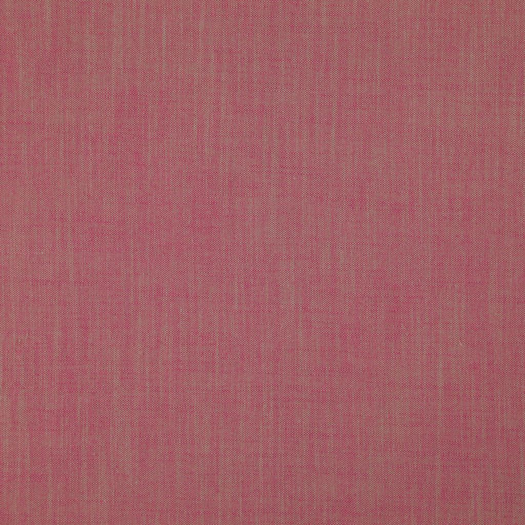 Eade's RMCoco-1319724-sample Camelia