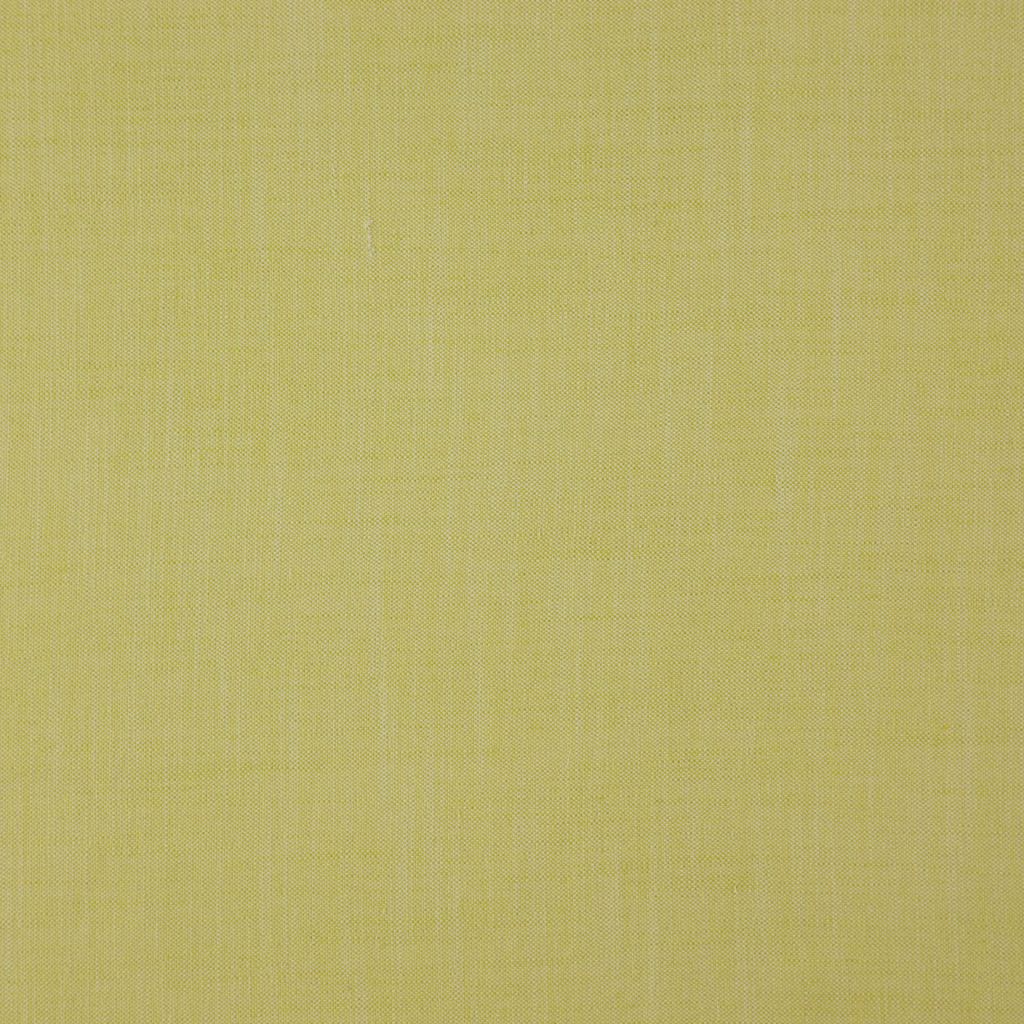 Eade's RMCoco-1319727-sample Palm