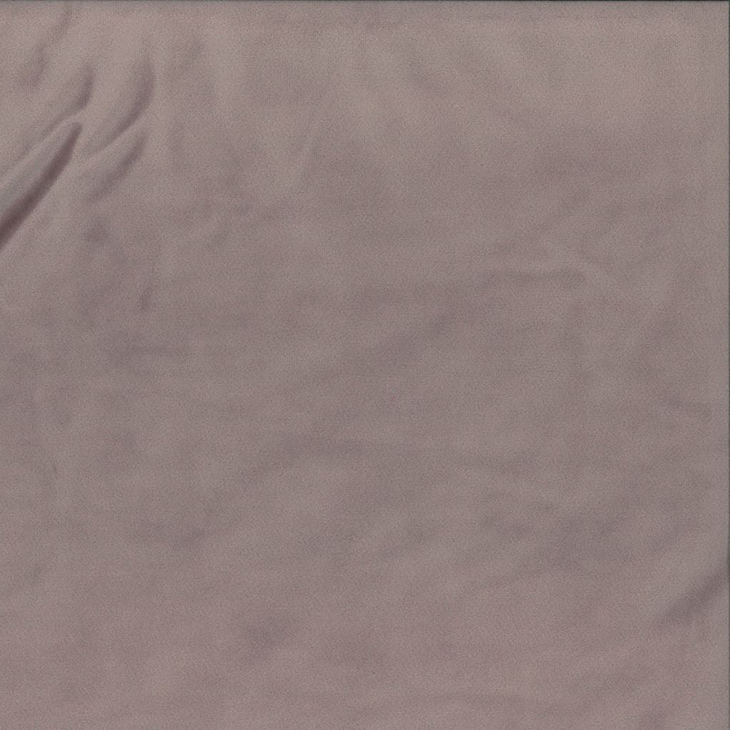 Eade's RMCoco-1252749-sample Rose