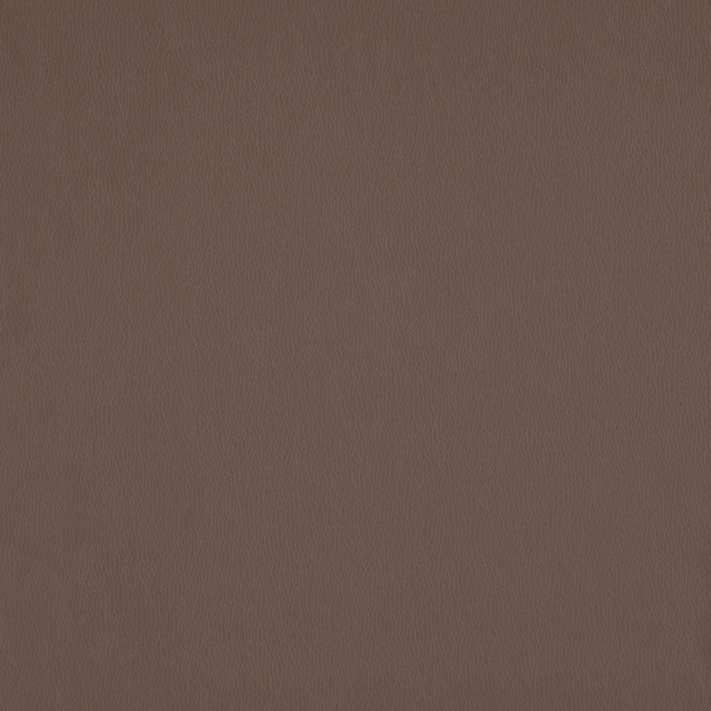 RM Coco BECKETT FUNGHI - Eade's