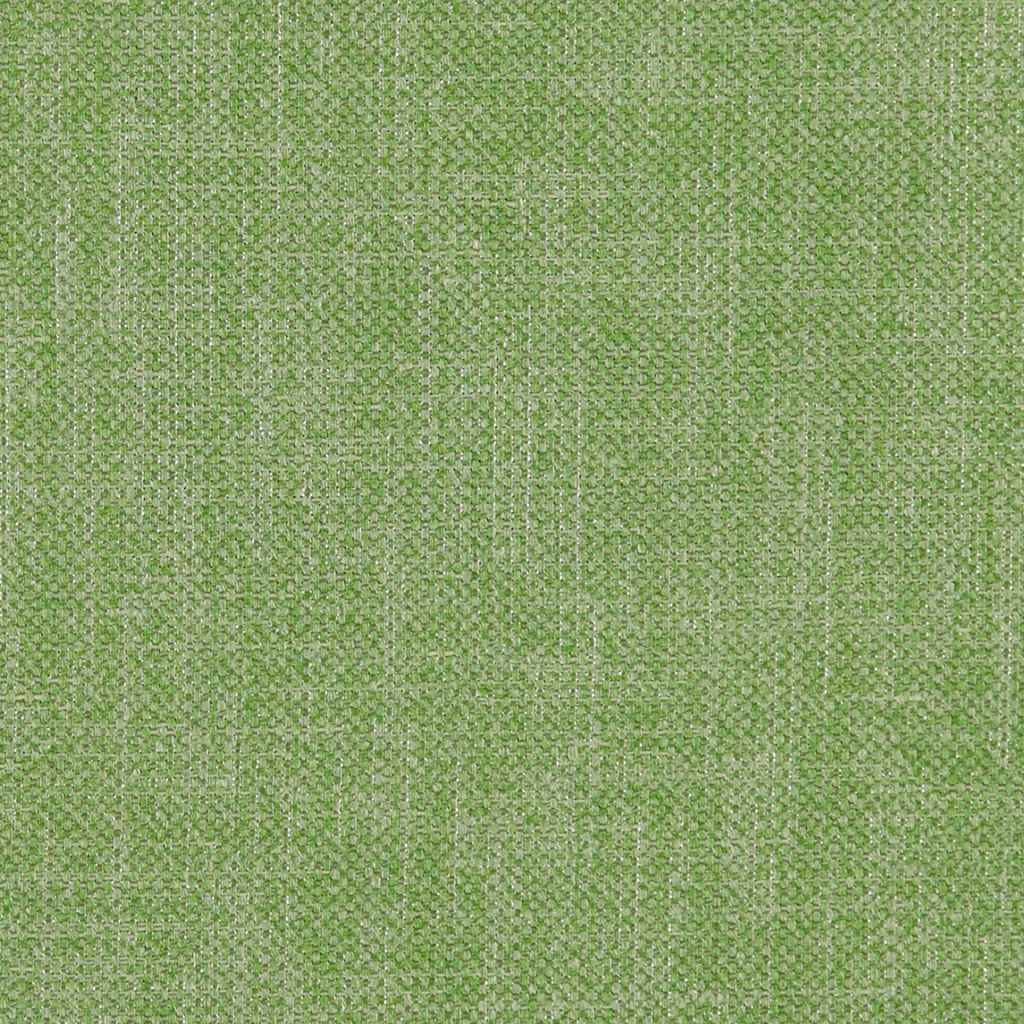 Eade's RMCoco-1241630-sample FERN