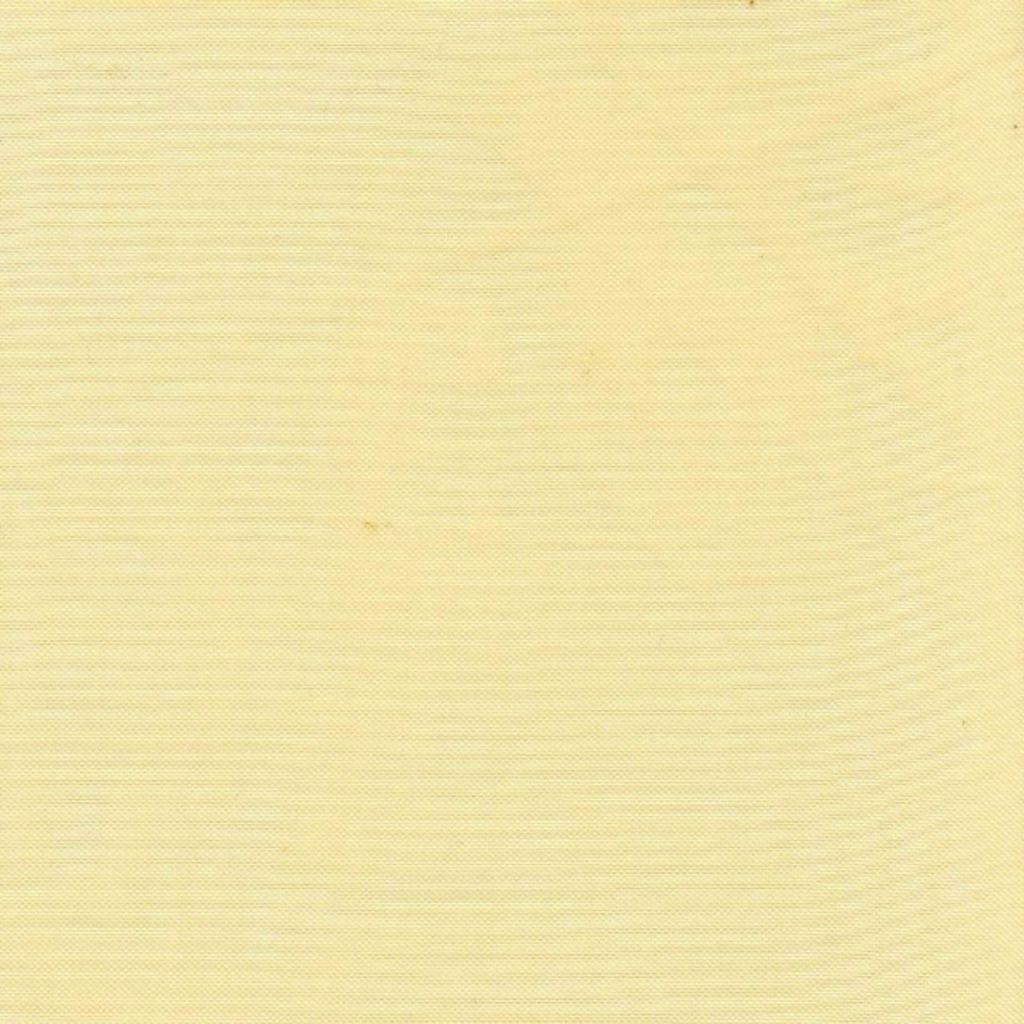 Eade's RMCoco-45237593-sample Cashew