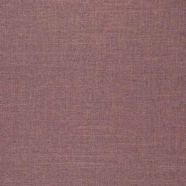 Eade's RMCoco-98966197-sample Orchid