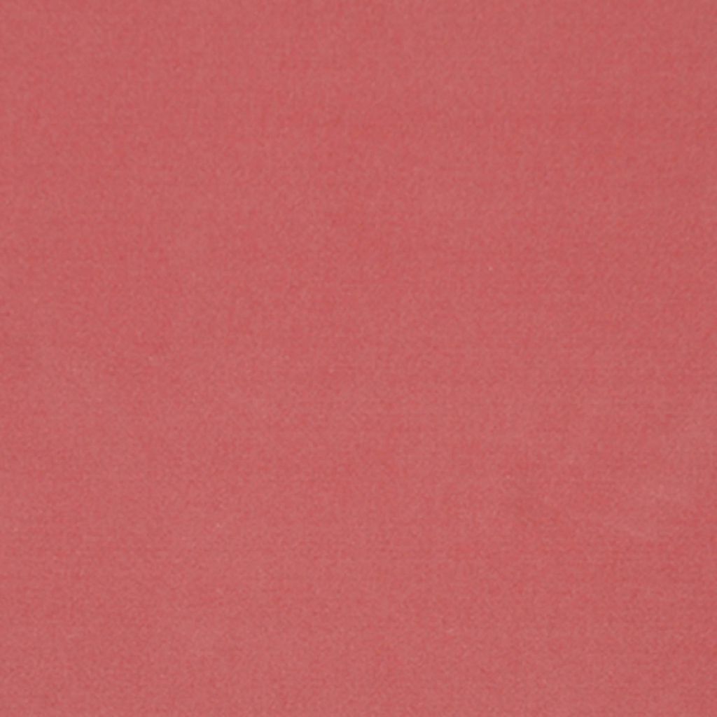 Eade's RMCoco-9560249-sample Rose