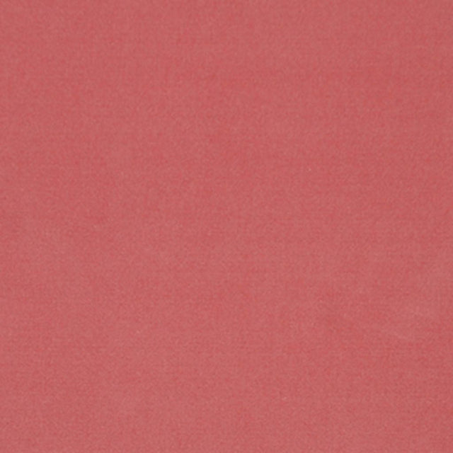 Eade's RMCoco-9560249-sample Rose