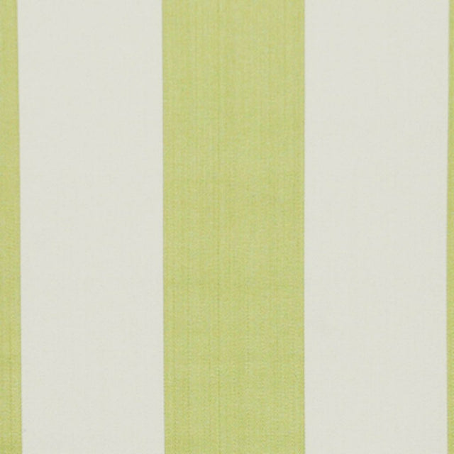 Eade's RMCoco-95786315-sample Kiwi