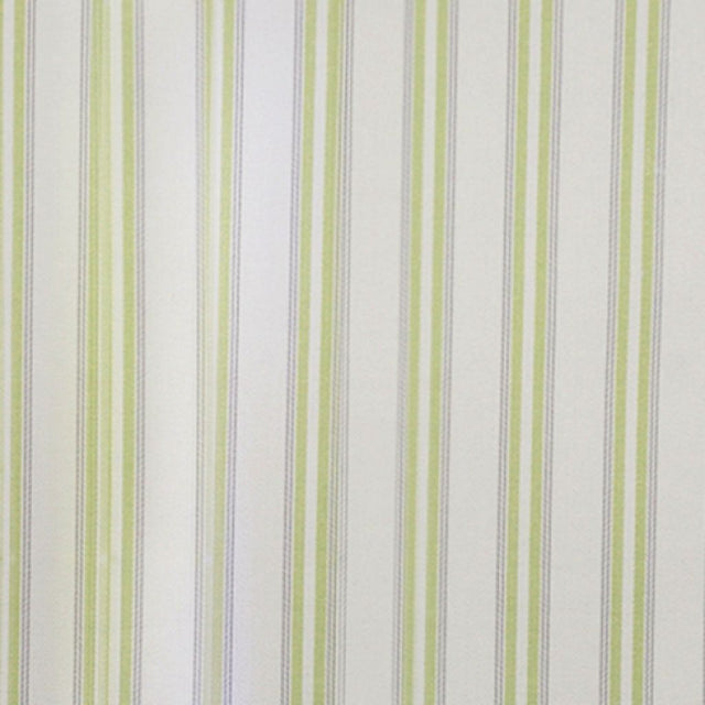 Eade's RMCoco-95796315-sample Kiwi