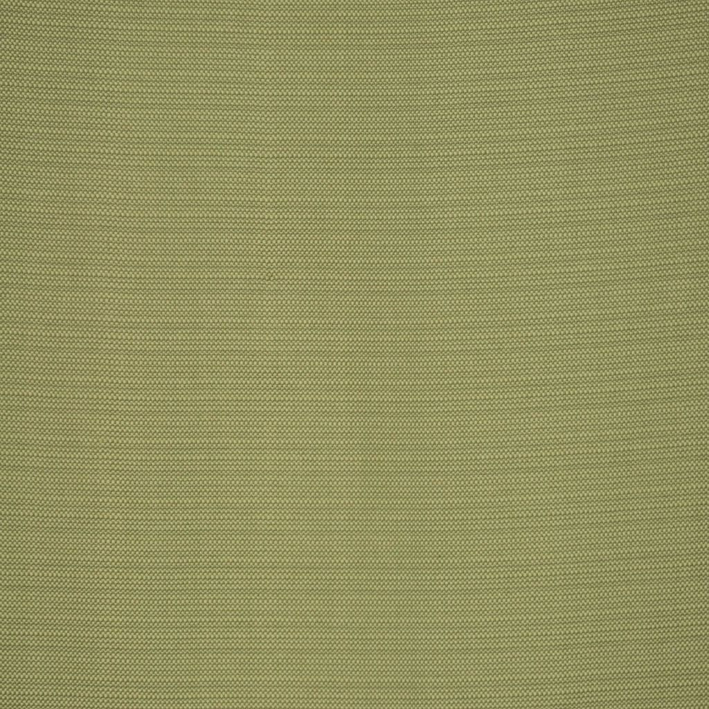 Eade's RMCoco-1207813-sample KIWI