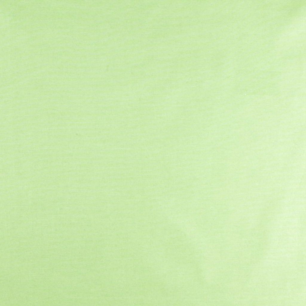 RM Coco TALENT CACTUS - Eade's