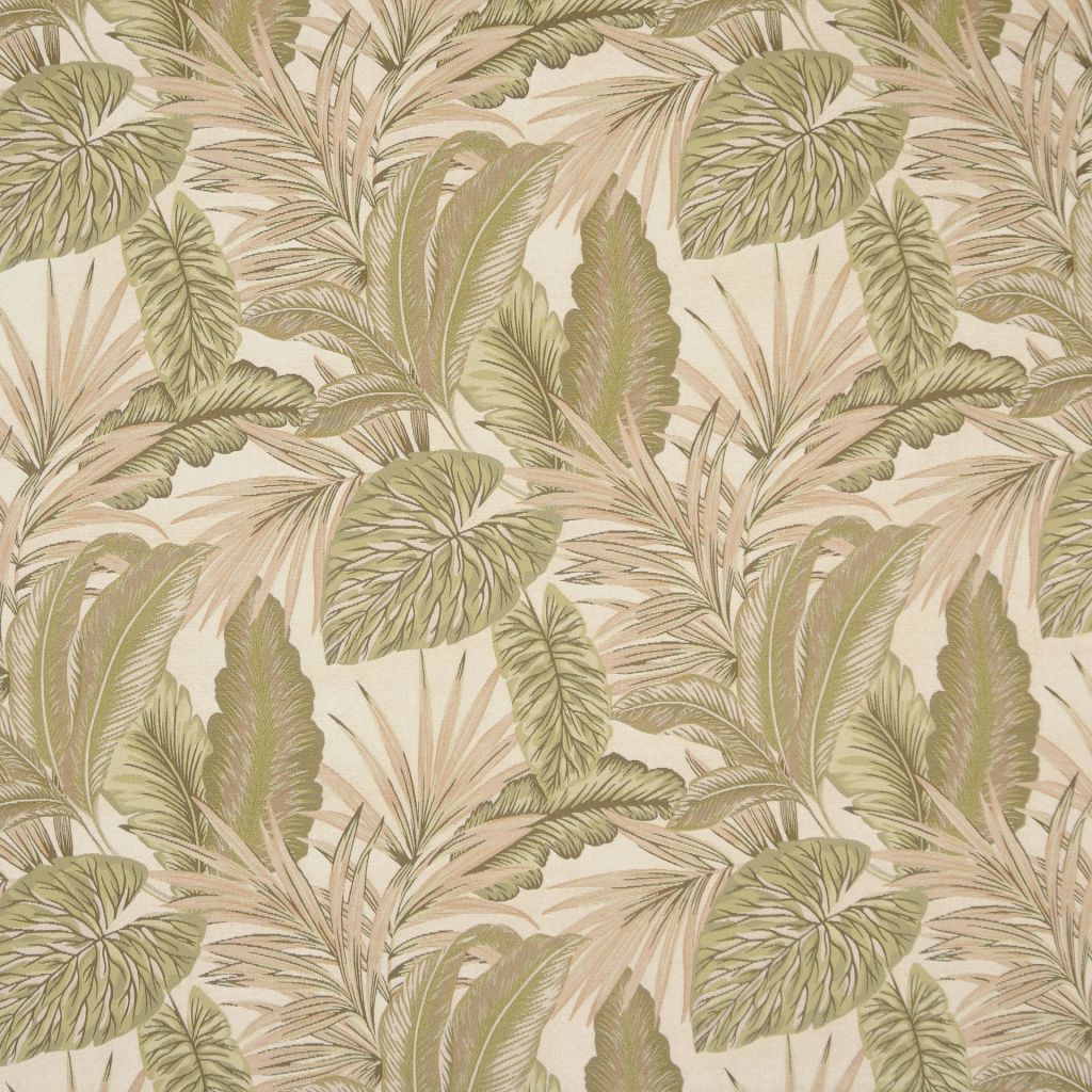 Eade's RMCoco-A0271421-sample 421